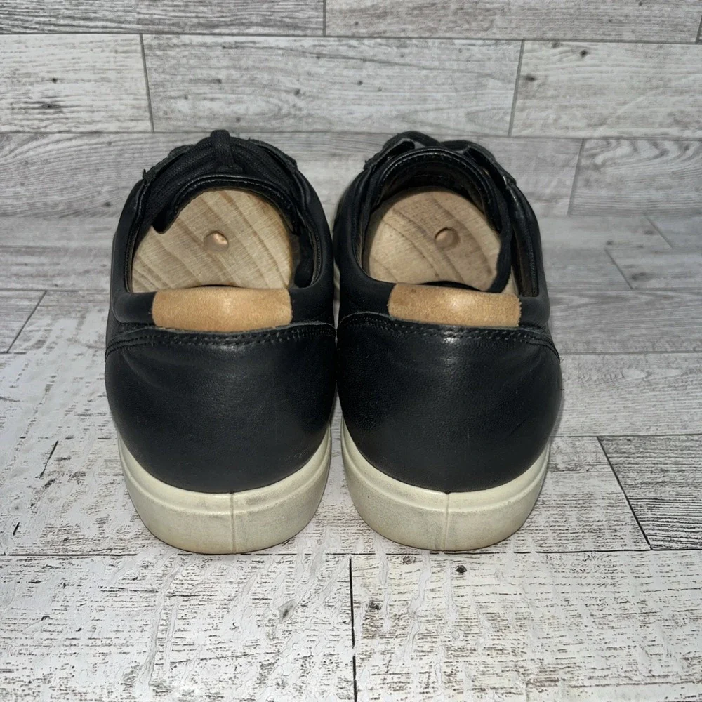 Ecco elevate your